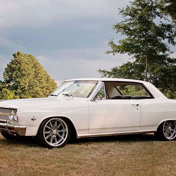 Meet your Posher, Darren - Picture 1 of 1